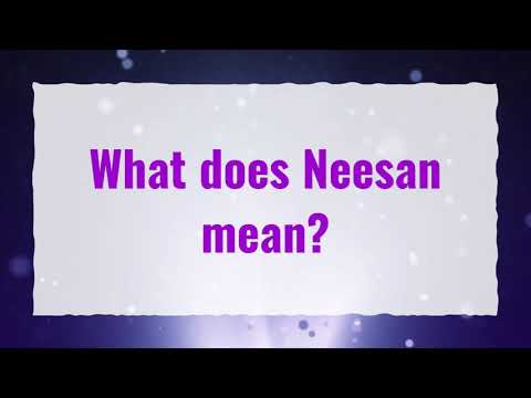 what does oneesan mean